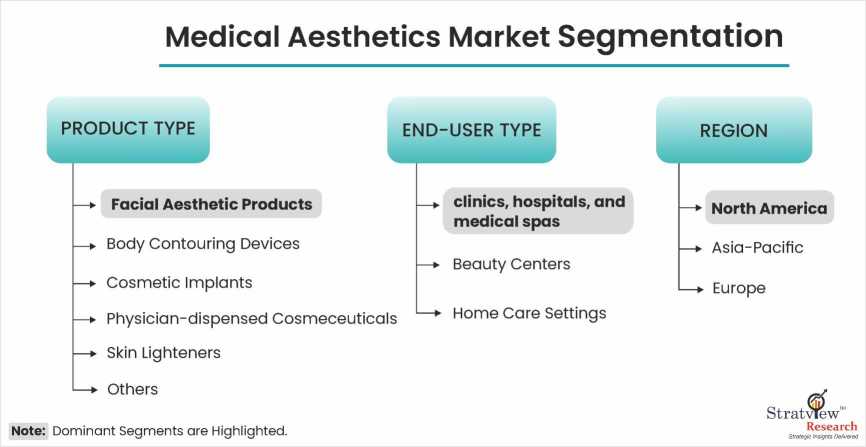 Medical-Aesthetics-Market-Segmentation
